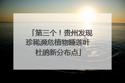 第三个！贵州发现珍稀濒危植物睡莲叶杜鹃新分布点