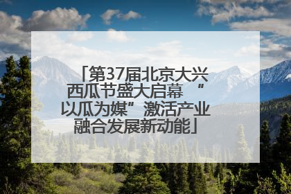 第37届北京大兴西瓜节盛大启幕 “以瓜为媒”激活产业融合发展新动能