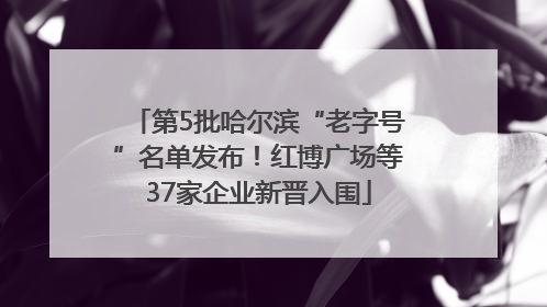 第5批哈尔滨“老字号”名单发布！红博广场等37家企业新晋入围