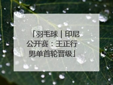 羽毛球｜印尼公开赛：王正行男单首轮晋级