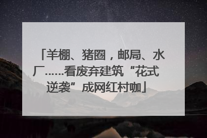 羊棚、猪圈，邮局、水厂……看废弃建筑“花式逆袭”成网红村咖