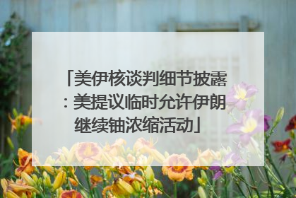 美伊核谈判细节披露：美提议临时允许伊朗继续铀浓缩活动