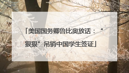美国国务卿鲁比奥放话：“狠狠”吊销中国学生签证