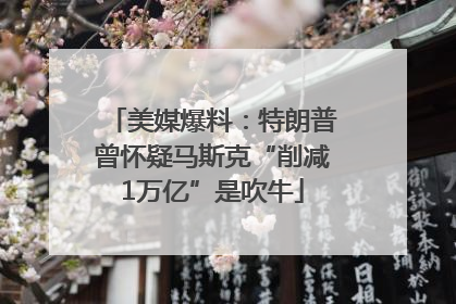 美媒爆料：特朗普曾怀疑马斯克“削减1万亿”是吹牛