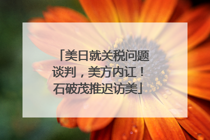 美日就关税问题谈判，美方内讧！石破茂推迟访美