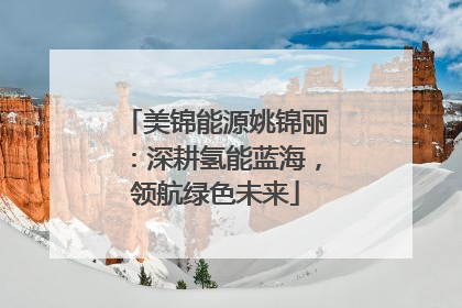 美锦能源姚锦丽：深耕氢能蓝海，领航绿色未来