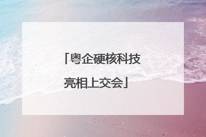 粤企硬核科技亮相上交会