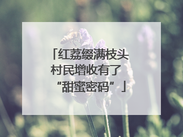 红荔缀满枝头 村民增收有了“甜蜜密码”