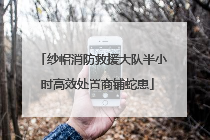 纱帽消防救援大队半小时高效处置商铺蛇患