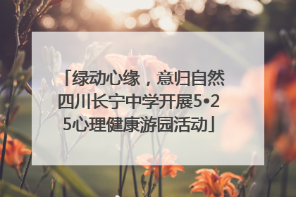 绿动心缘，意归自然 四川长宁中学开展5•25心理健康游园活动