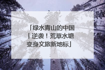 绿水青山的中国丨逆袭！荒草水塘变身文旅新地标