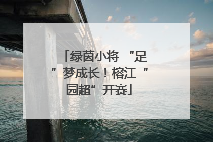绿茵小将 “足”梦成长！榕江“园超”开赛