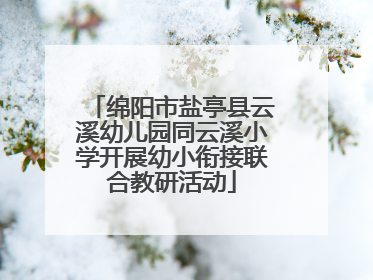 绵阳市盐亭县云溪幼儿园同云溪小学开展幼小衔接联合教研活动