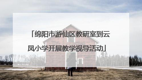 绵阳市游仙区教研室到云凤小学开展教学视导活动