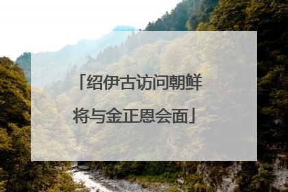 绍伊古访问朝鲜 将与金正恩会面