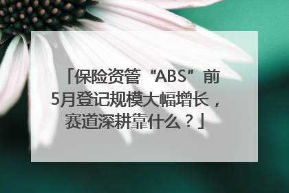 保险资管“ABS”前5月登记规模大幅增长，赛道深耕靠什么？