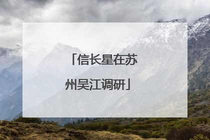 信长星在苏州吴江调研