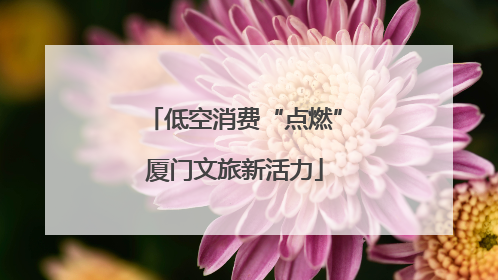 低空消费“点燃”厦门文旅新活力