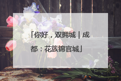 你好，双拥城｜成都：花簇锦官城