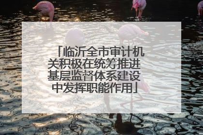 临沂全市审计机关积极在统筹推进基层监督体系建设中发挥职能作用