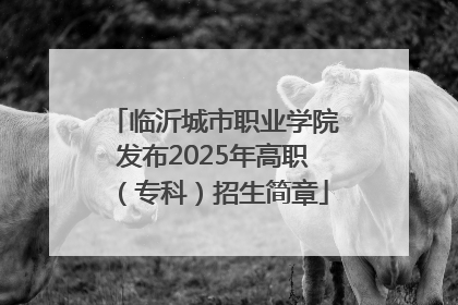 临沂城市职业学院发布2025年高职（专科）招生简章