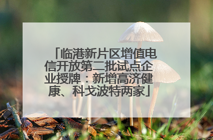 临港新片区增值电信开放第二批试点企业授牌：新增高济健康、科戈波特两家