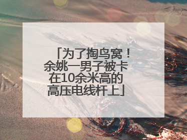为了掏鸟窝！余姚一男子被卡在10余米高的高压电线杆上