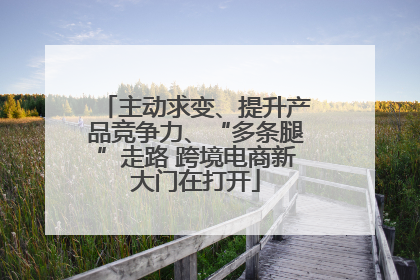 主动求变、提升产品竞争力、“多条腿”走路 跨境电商新大门在打开