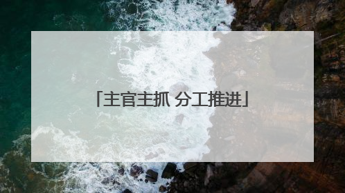 主官主抓 分工推进