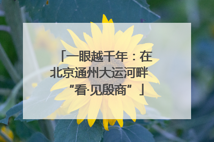 一眼越千年：在北京通州大运河畔“看·见殷商”