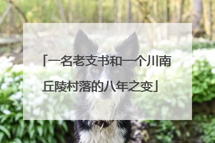 一名老支书和一个川南丘陵村落的八年之变