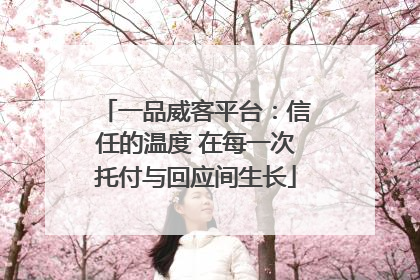 一品威客平台：信任的温度 在每一次托付与回应间生长