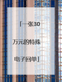 一张30万元的特殊电子回单