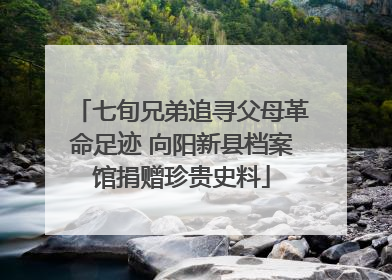 七旬兄弟追寻父母革命足迹 向阳新县档案馆捐赠珍贵史料