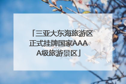 三亚大东海旅游区正式挂牌国家AAAA级旅游景区