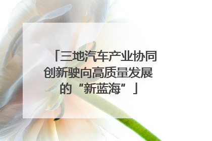 三地汽车产业协同创新驶向高质量发展的“新蓝海”