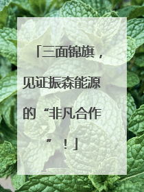 三面锦旗，见证振森能源的“非凡合作”！