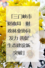 三门峡市财政局：财政林业协同发力 共促生态建设新突破