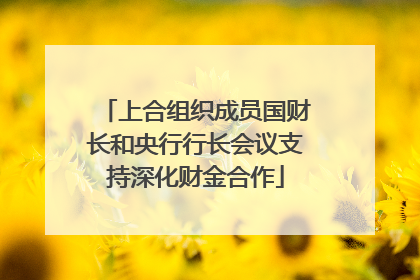 上合组织成员国财长和央行行长会议支持深化财金合作