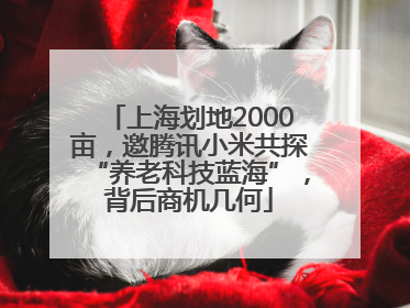 上海划地2000亩，邀腾讯小米共探“养老科技蓝海”，背后商机几何