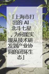 上海市打出的 AI 北斗七星，为何能实现从技术研发到产业协同的闭环生态