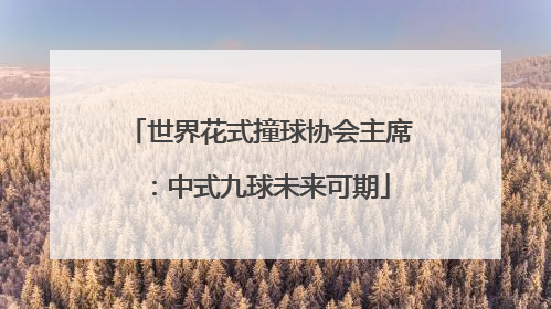 世界花式撞球协会主席：中式九球未来可期