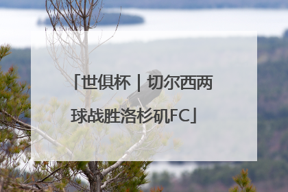 世俱杯｜切尔西两球战胜洛杉矶FC