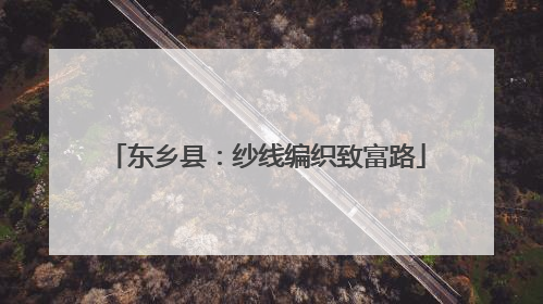 东乡县：纱线编织致富路