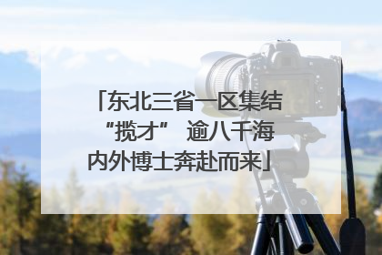 东北三省一区集结“揽才” 逾八千海内外博士奔赴而来