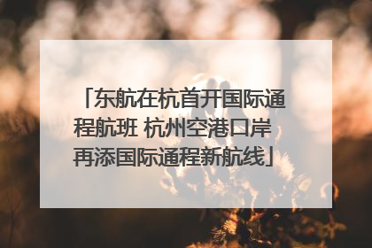 东航在杭首开国际通程航班 杭州空港口岸再添国际通程新航线