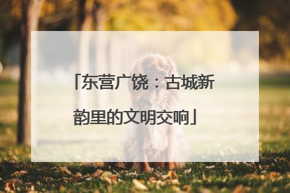 东营广饶：古城新韵里的文明交响
