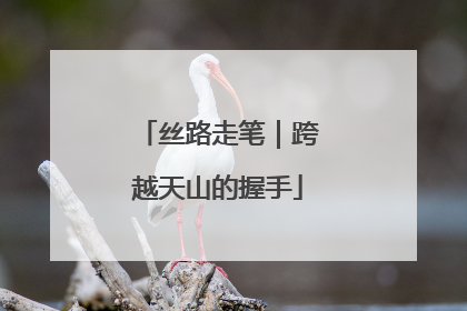丝路走笔｜跨越天山的握手