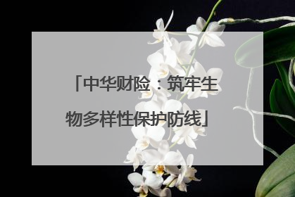 中华财险：筑牢生物多样性保护防线