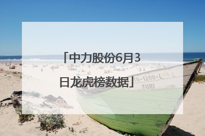 中力股份6月3日龙虎榜数据